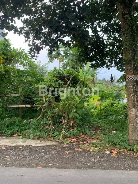 image TANAH SIAP BANGUN (4)