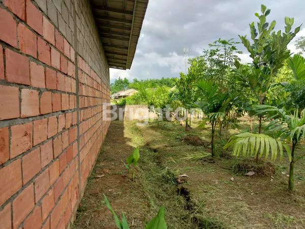 image 2 KIOS HOOK LT 1077M² DI TALANG KELAPA (4)