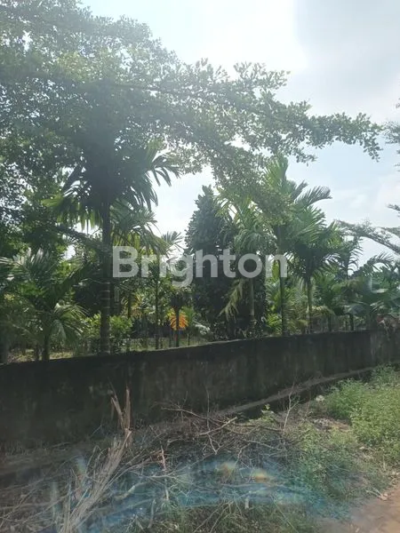 image 2 KIOS HOOK LT 1077M² DI TALANG KELAPA (8)