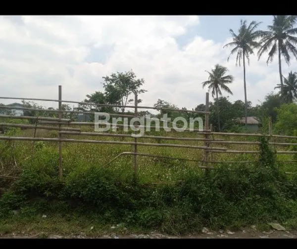 image TANAH STRATEGIS 1000M² DI NGAMPRAH KBB (1)