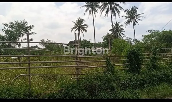 image TANAH STRATEGIS 1000M² DI NGAMPRAH KBB (2)