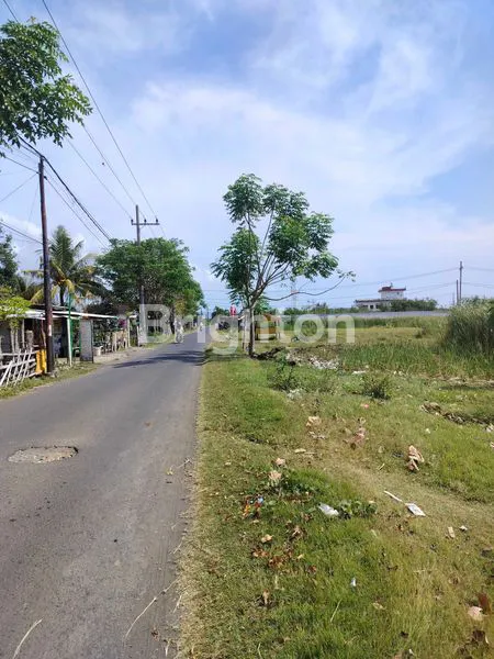 image TANAH PINGGIR JALAN POROS KARANGREJO BANYUWANGI (1)