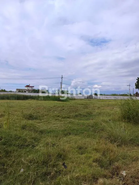 image TANAH PINGGIR JALAN POROS KARANGREJO BANYUWANGI (5)