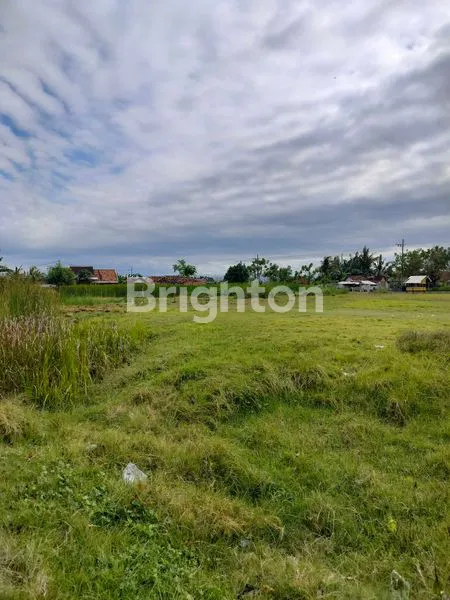 image TANAH PINGGIR JALAN POROS KARANGREJO BANYUWANGI (3)