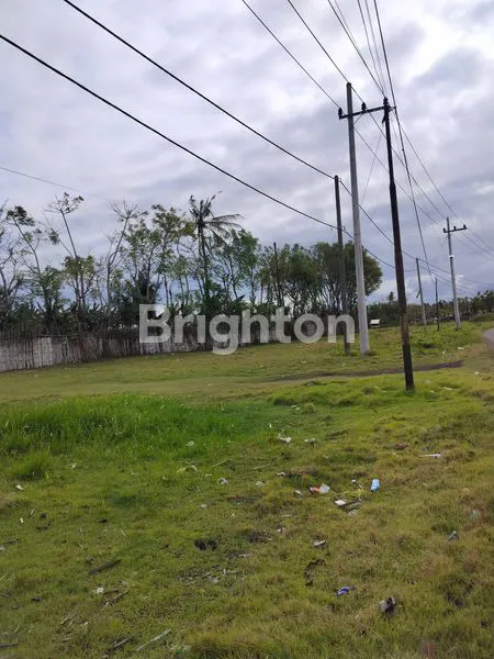 image TANAH PINGGIR JALAN POROS KARANGREJO BANYUWANGI (4)