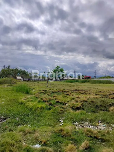 image TANAH PINGGIR JALAN POROS KARANGREJO BANYUWANGI (6)