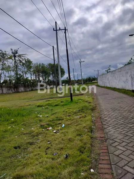image TANAH PINGGIR JALAN POROS KARANGREJO BANYUWANGI (2)