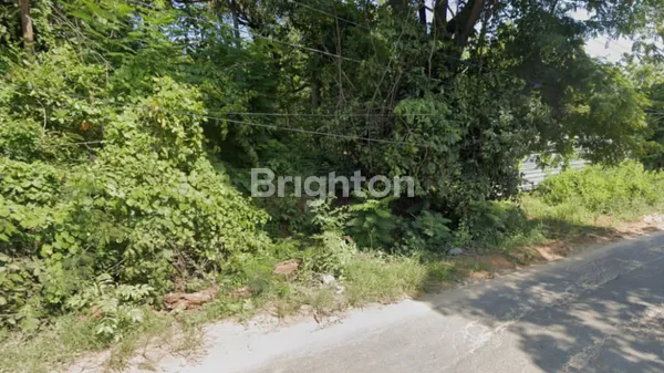 image TANAH COCOK UNTUK USAHA DI JALAN RAYA BULU AREA TUBAN (2)