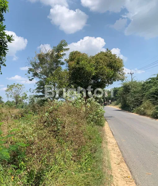 image TANAH COCOK UNTUK USAHA DI JALAN RAYA BULU AREA TUBAN (3)