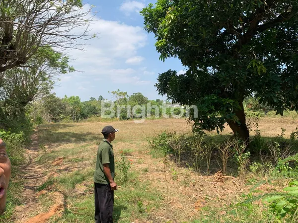 image TANAH COCOK UNTUK USAHA DI JALAN RAYA BULU AREA TUBAN (2)