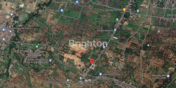 image TANAH COCOK UNTUK USAHA DI JALAN RAYA BULU AREA TUBAN (1)