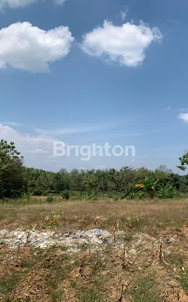 image TANAH COCOK UNTUK USAHA DI JALAN RAYA BULU AREA TUBAN  (3)