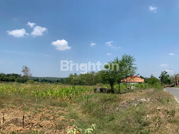 image TANAH COCOK UNTUK USAHA DI JALAN RAYA BULU AREA TUBAN  (1)