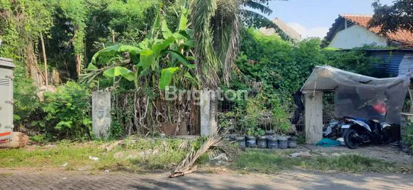 image TANAH STRATEGIS – MEDOKAN AYU, SURABAYA TIMUR LOKASI SUPER STRATEGIS DI MEDOKAN ASRI UTARA  AREA FAVORIT DENGAN AKSES MUDAH DAN LINGKUNGAN RAMAI! (1)