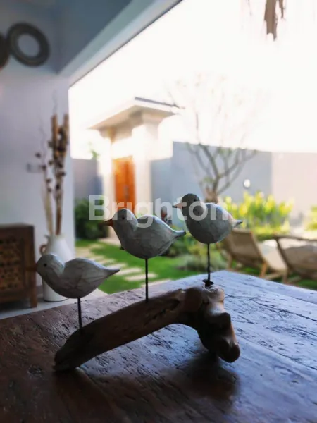 image 3 BEDROOMS VILLA FOR YEARLY RENT IN UMALAS (167V)   (1)