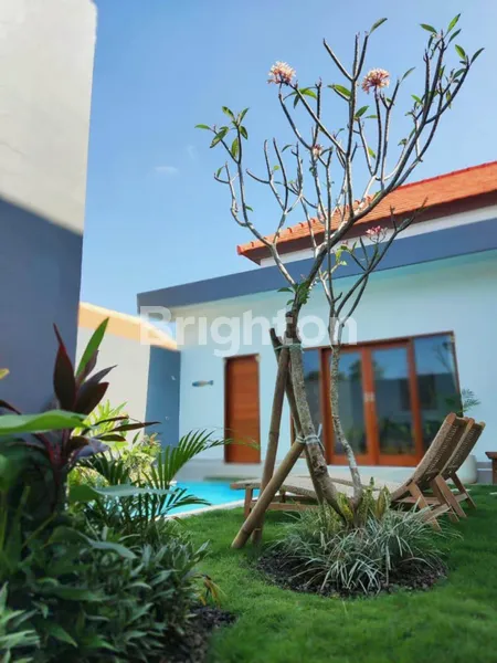 image 3 BEDROOMS VILLA FOR YEARLY RENT IN UMALAS (167V)   (8)