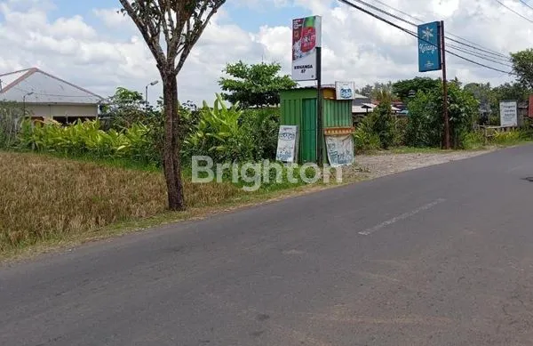 image SEWA TANAH 100M DEPAN JALAN ABIANSEMAL (4)