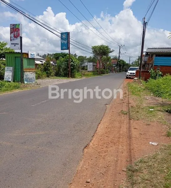 image SEWA TANAH 100M DEPAN JALAN ABIANSEMAL (3)