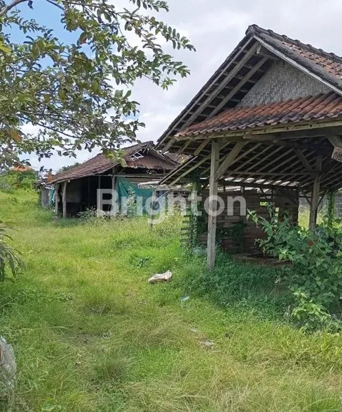 image SEWA TANAH 100M DEPAN JALAN ABIANSEMAL (2)