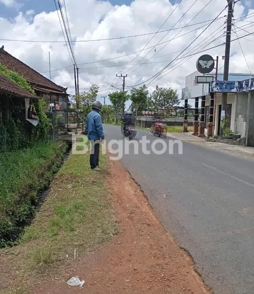 image SEWA TANAH 100M DEPAN JALAN ABIANSEMAL (5)