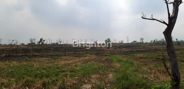 image LOKASI TANAH MOJOSARI MOJOKERTO (2)