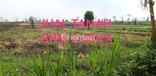 image LOKASI TANAH MOJOSARI MOJOKERTO (1)