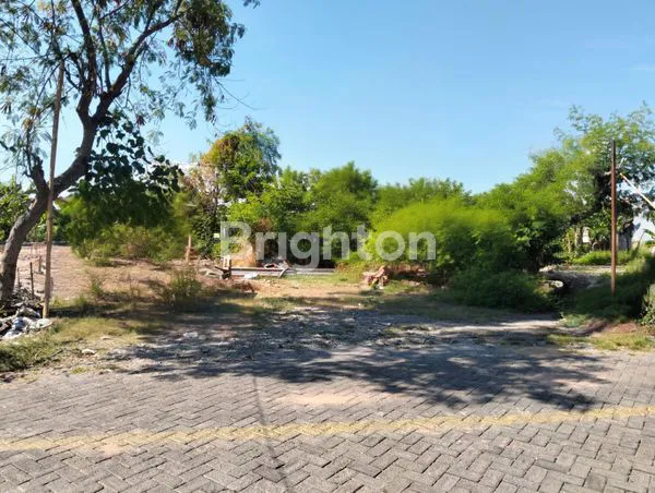 Gambar Property TANAH MEDOKAN SAWAH  04