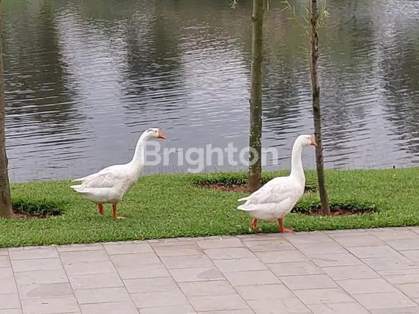 image DIJUAL RUMAH DI CLUSTER GADING SERPONG (7)