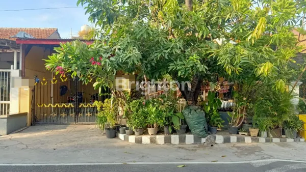 image RUMAH 1 LANTAI SIAP HUNI LOKASI PREMIUM BEBAS BANJIR RUNGKUT ASRI TIMUR SURABAYA (1)