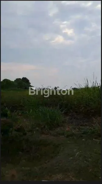 image DIJUAL TANAH KAWASAN INDUSTRI KENDAL (2)