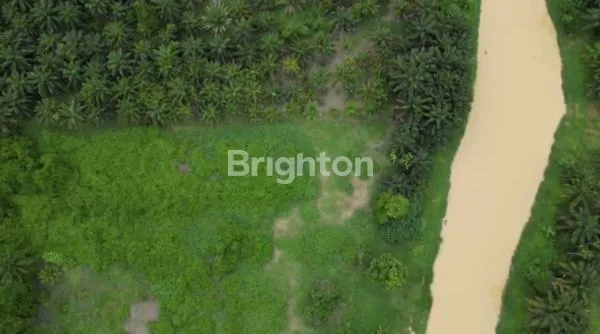 image TANAH LUAS 10RB M² BONUS RUMAH CANTIK (5)