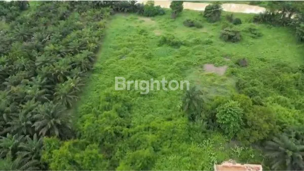 image TANAH LUAS 10RB M² BONUS RUMAH CANTIK (2)