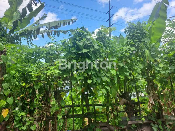 image TANAH LUAS DI DENPASAR UTARA SANGAT COCOK UNTUK GUDANG (4)