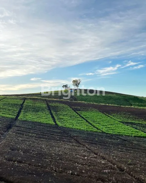 image TANAH PRODUKTIF DI JUAL DI AREA BUKIT JENGKOANG KOTA BATU (1)