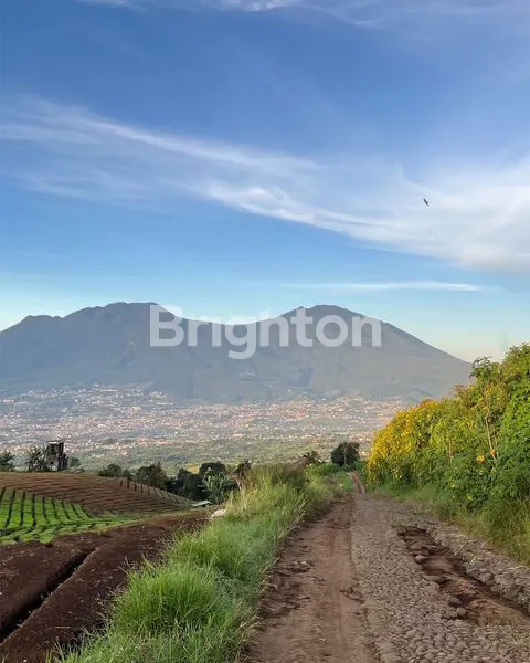 image TANAH PRODUKTIF DI JUAL DI AREA BUKIT JENGKOANG KOTA BATU (4)