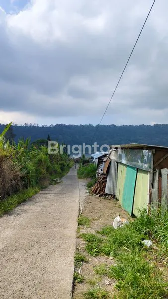 image TANAH VIEW DANAU BUYAN DAN PEGUNUNGAN  (1)