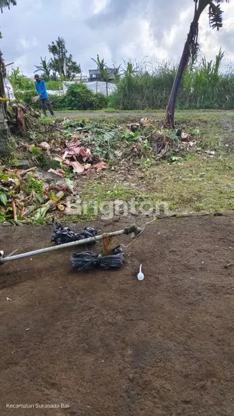 image TANAH VIEW DANAU BUYAN DAN PEGUNUNGAN  (4)