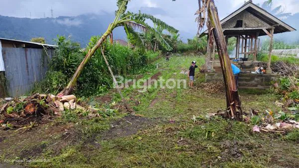 image TANAH VIEW DANAU BUYAN DAN PEGUNUNGAN  (5)