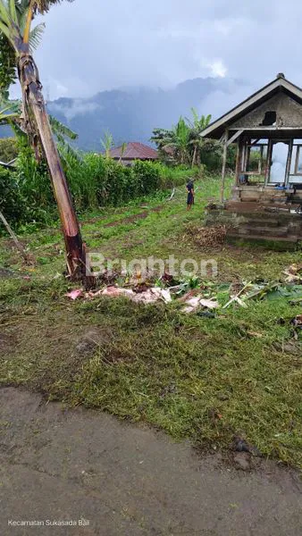 image TANAH VIEW DANAU BUYAN DAN PEGUNUNGAN  (7)