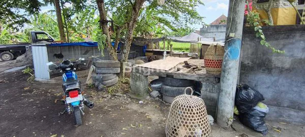 image TANAH STRATEGIS DIJUAL DI KEDIRI, TABANAN (6)