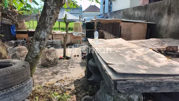 image TANAH STRATEGIS DIJUAL DI KEDIRI, TABANAN (5)