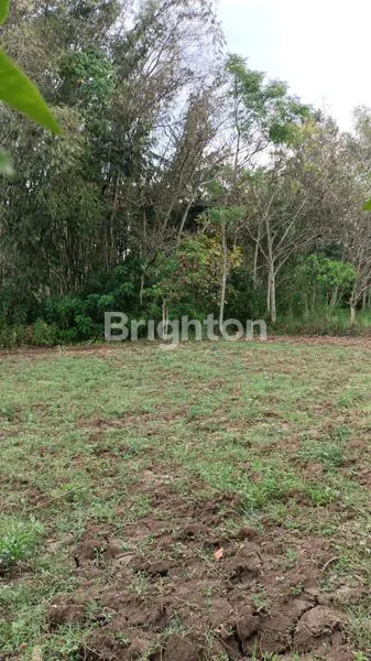 image TANAH MURAH DEKAT WISATA PEMANDIAN KENDEDES, SINGOSARI, MALANG (1)