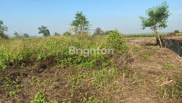 image TANAH SIAP BANGUN SHM 181M² DI DLANGGU\\N \\N (2)