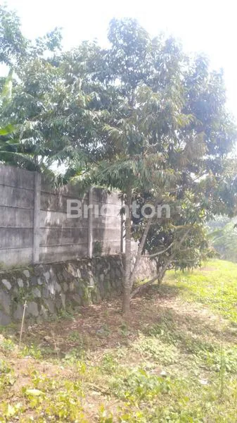 image DIJUAL TANAH KEBUN BONUS VILLA JALAN DAGO, PARUNG PANJANG (4)
