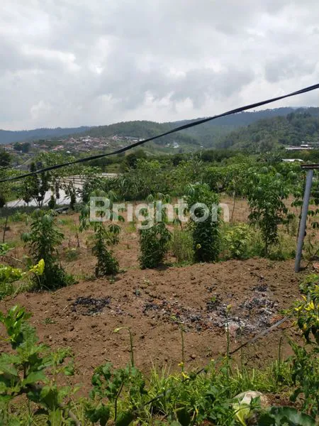 TANAH POROS JALAN RAYA DI BUMIAJI, KOTA BATU