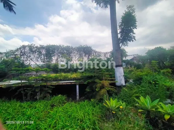 TANAH PROSPEKTIF DI DESA GONDANG POROS JALAN RAYA  BUMIAJI, KOTA BATU \UD83C\UDF3F