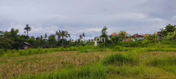 image TANAH STRATEGIS UJUNG HYANG, VIEW GUNUNG AGUNG (3)
