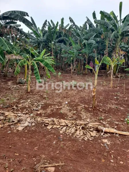 image TANAH KAVLING SIAP BANGUN JATI ASIH 2.148M² (2)