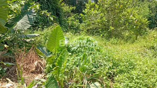 image INVESTASI TANAH JONGGOL, LOKASI PREMIUM (2)