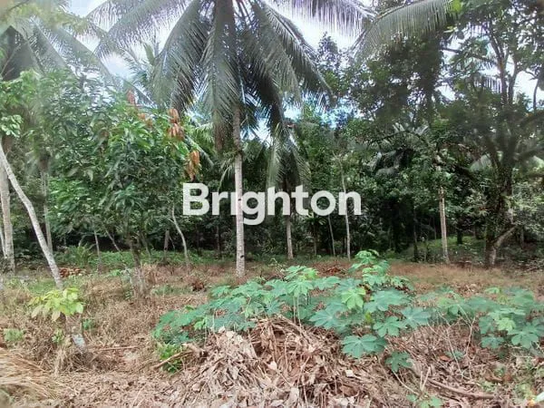 image DIJUAL TANAH STRATEGIS PINGGIR JALAN KARIANGAU KAWASAN INDUSTRI  (5)